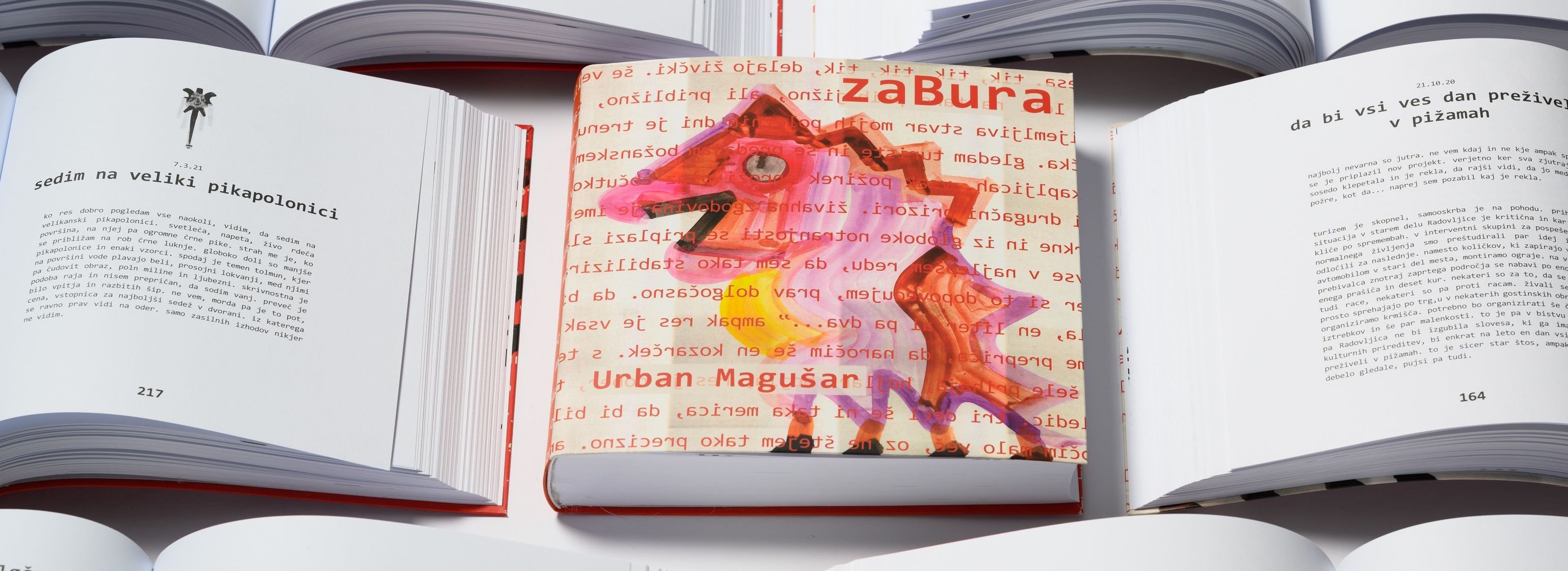 En izmed zapisov iz knjižne uspešnice zaBura.